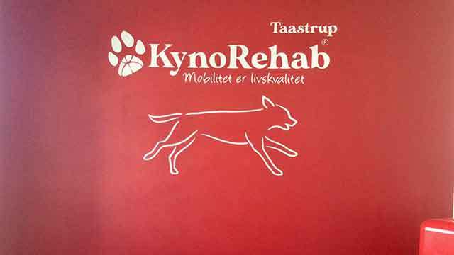 Cph KYNO - Hunde i Balance Hundemassage, Høje-Taastrup - 2