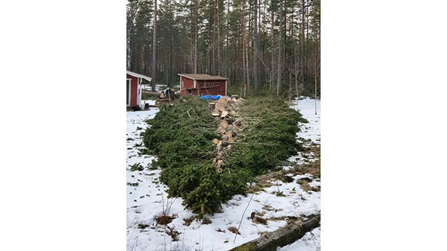 E D J Trädvård AB Trädfällning, trädvård, Sundsvall - 4