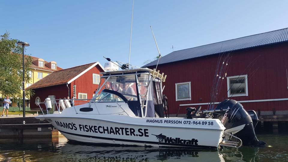 Mamos Fiskecharter Fisketurer, Karlsborg - 4