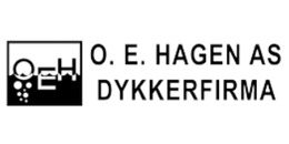 Olav Erik Hagen AS