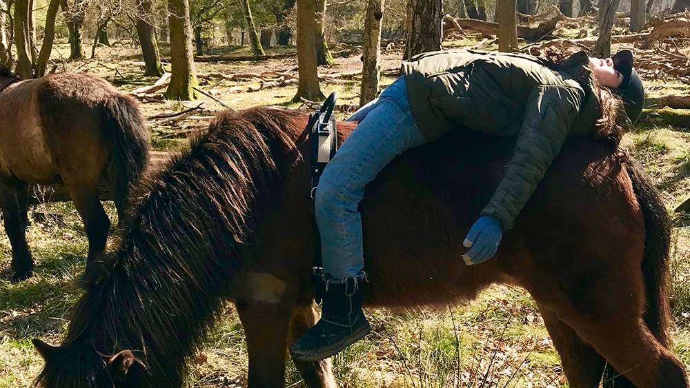 Horse & Talk - Rideterapi og enkeltundervisning med hest Psykologisk rådgivning, Hørsholm - 2