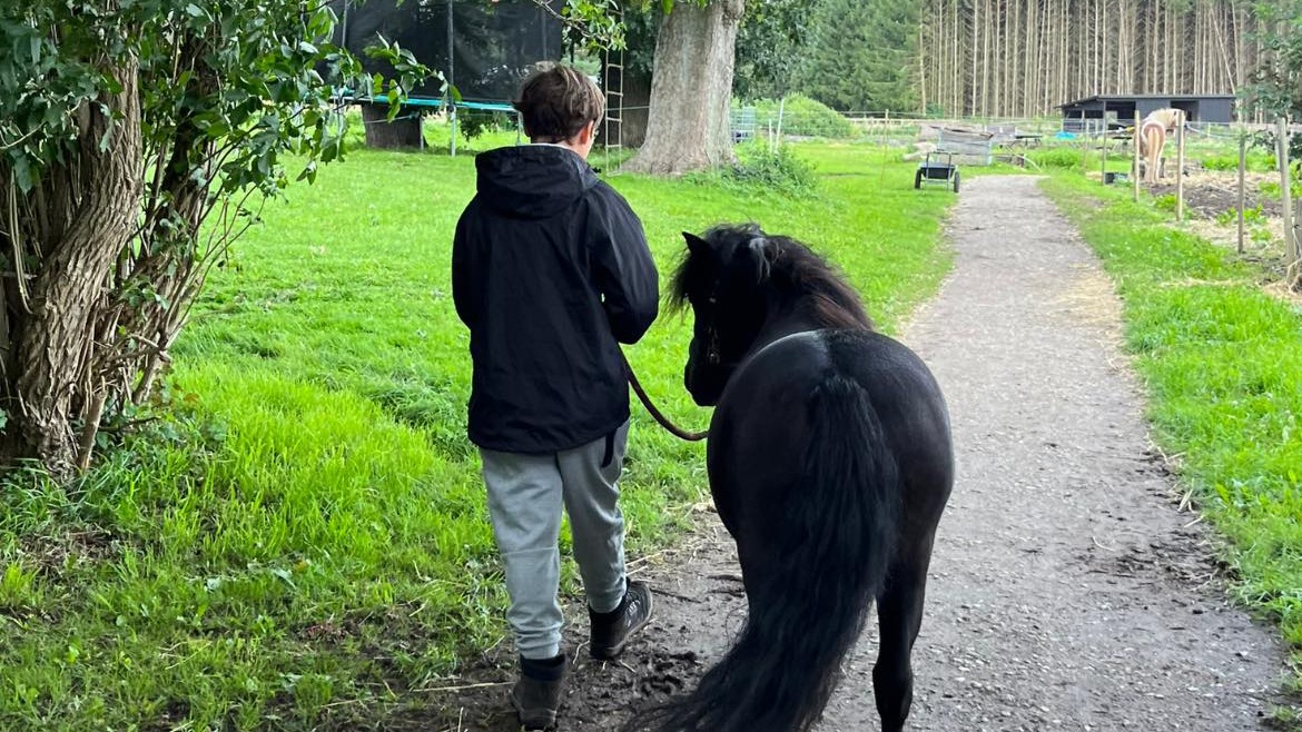 Horse & Talk - Rideterapi og enkeltundervisning med hest Psykologisk rådgivning, Hørsholm - 8