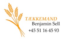 Tækkemand Benjamin Sell