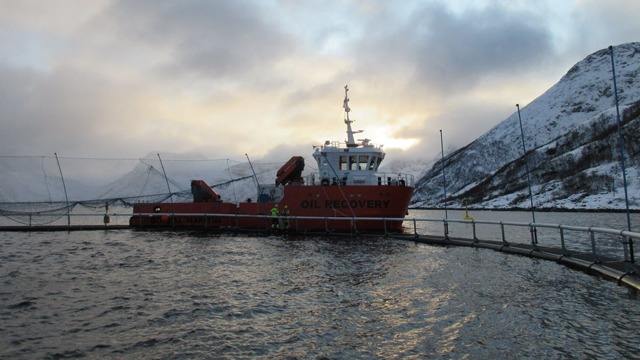 Boreal Maritim AS Shipping, Skjervøy - 1