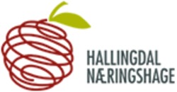 Hallingdal Næringshage AS