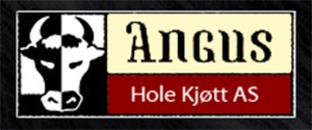 Hole Kjøtt AS