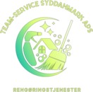 Team-Service Syddanmark ApS