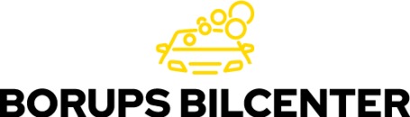 Borup Bilvask