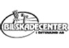 Bilskadecenter