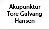 Akupunktur Tore Gulvang Hansen logo