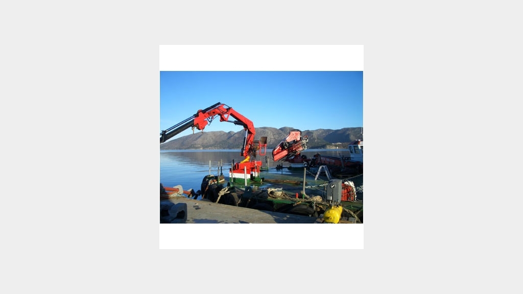 Tuff kote dinol forus