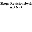 Skogs Revisionsbyrå AB, N G