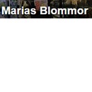 Maria'S Blommor logo