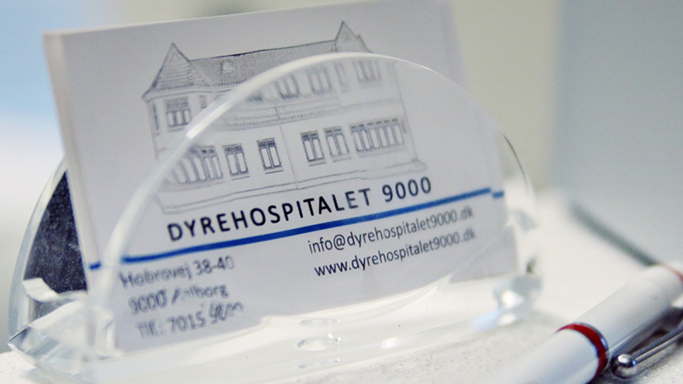 Dyrehospitalet 9000 ApS Dyrehospital, Aalborg - 1