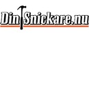 Din Snickare Skellefteå AB logo