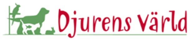 Katt Ljura Foretag Eniro Se Sida 3