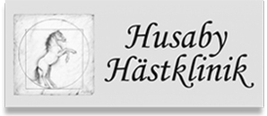 Husaby Hästklinik AB logo