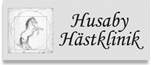 Husaby Hästklinik AB