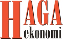 Haga Ekonomi