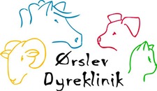 Ørslev Dyreklinik