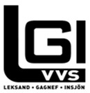 LGI VVS AB logo