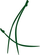 Areal