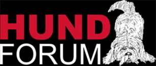 Hundforum i Örebro