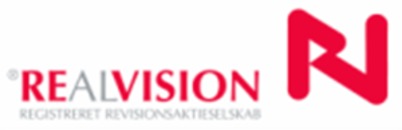 REalVISION Registreret Revisionsaktieselskab logo