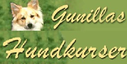 Gunillas Hundkurser