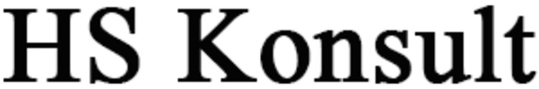 HS Konsult