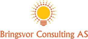 BRINGSVOR CONSULTING AS