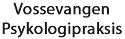Vossevangen Psykologipraksis Anne-Jorunn Ryum Møen logo