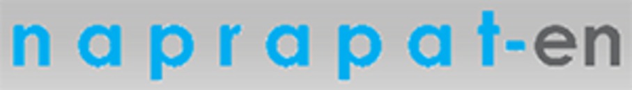 Naprapat-en AS logo