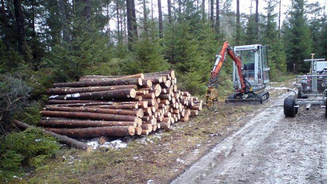 FFL Træfældning og Rodfræsning Skoventreprenør, Frederikssund - 5
