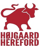 Højgaard  Hereford logo
