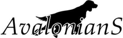 AvalonianS logo