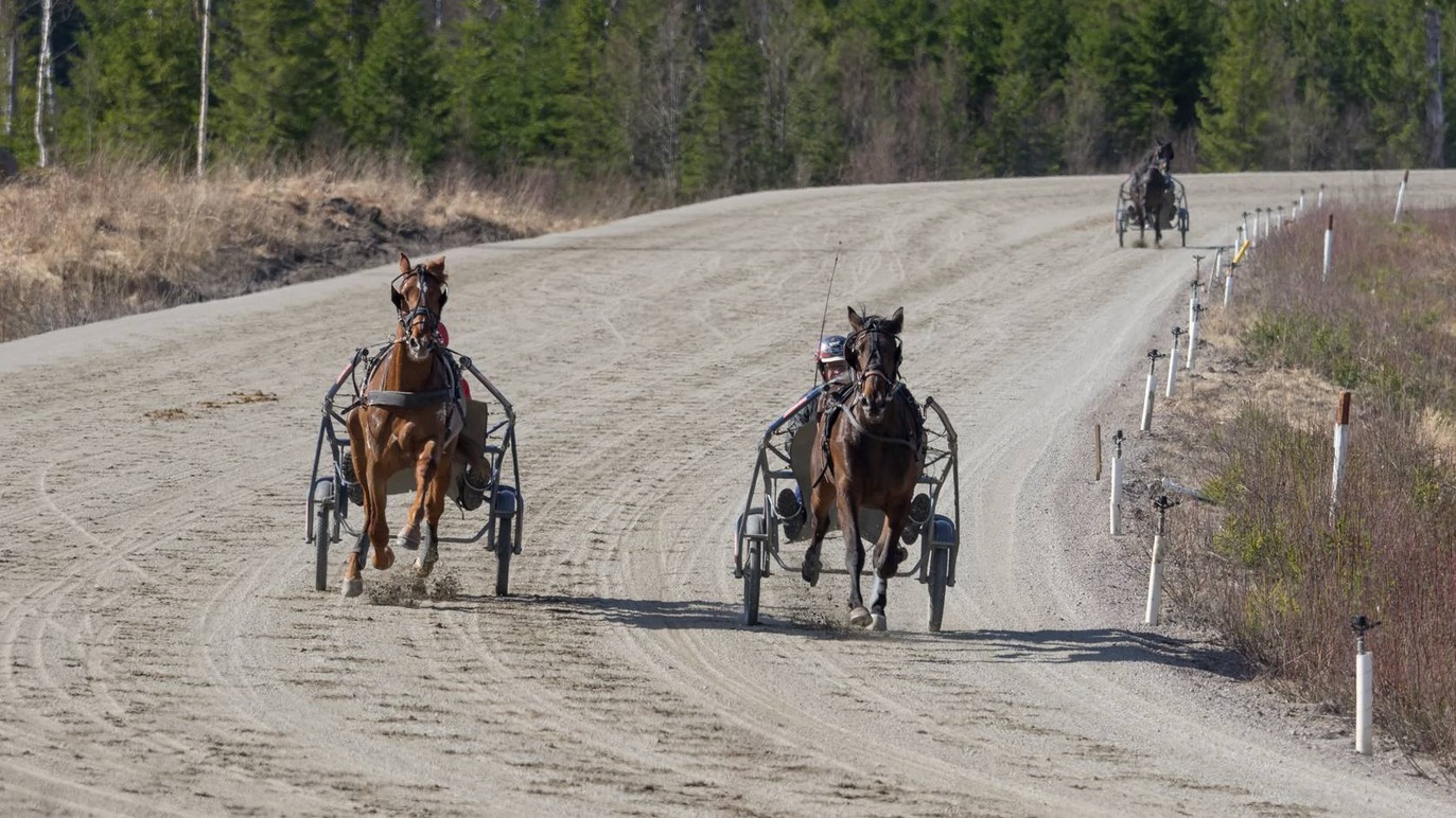 Julmyra Horse Center AB Travsport, Heby - 6