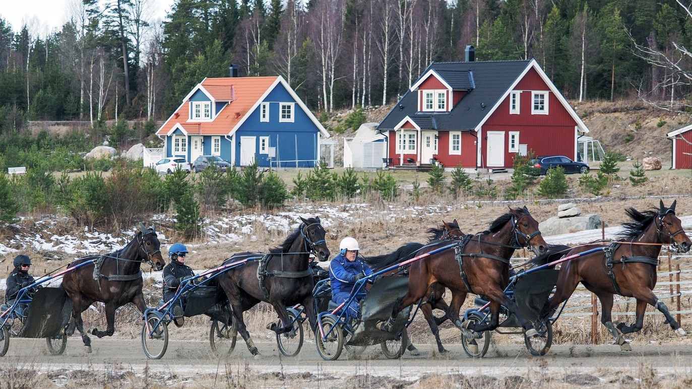 Julmyra Horse Center AB Travsport, Heby - 2