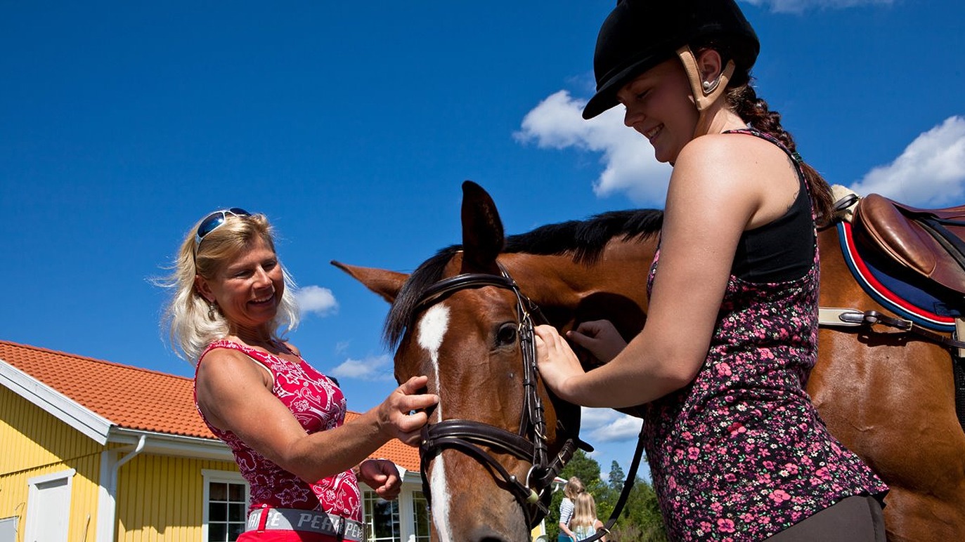 Julmyra Horse Center AB Travsport, Heby - 4