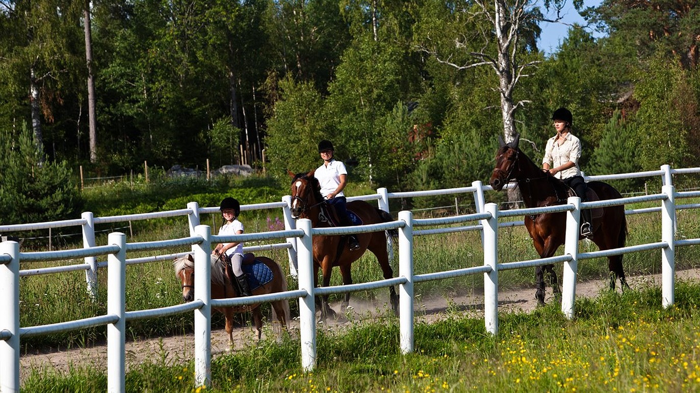 Julmyra Horse Center AB Travsport, Heby - 5