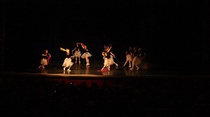 Agneta Bank's Balettskola Danslektioner, Göteborg - 5