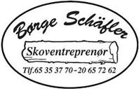 Børge Schäfler