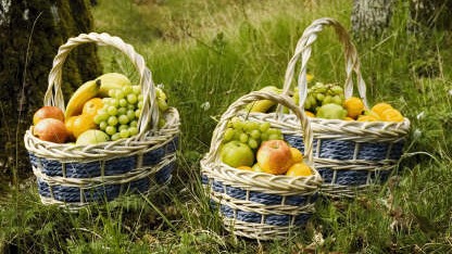 Vireo Fruktbilen Frukt, grönsaker, potatis - Odlare, grossist, Karlshamn - 3