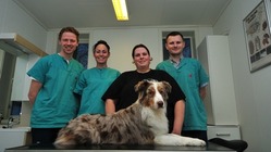 Veterinærvakt gjøvik