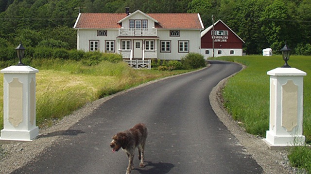 Viskadalens Djurklinik Djursjukhus, djurkliniker, Varberg - 2