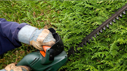 Jens Aage's Park- og Haveservice Haveservice, Kalundborg - 6