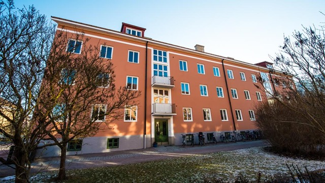 Andrés Måleri - Golv - Bygg Byggföretag, Uppsala - 8