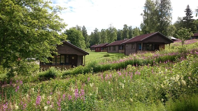 Fyrklöverns Stugby Stugförmedling, Rättvik - 5