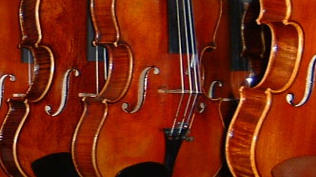 Viola Musik Musikinstrument, Uppsala - 6