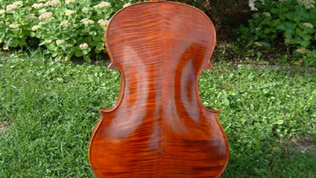 Viola Musik Musikinstrument, Uppsala - 9